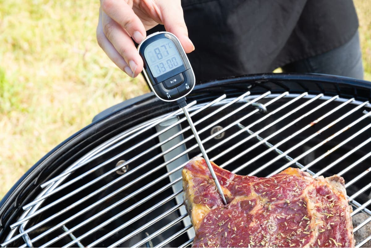 BARBECUE THERMOMETER - best price from Maltashopper.com BR500009599