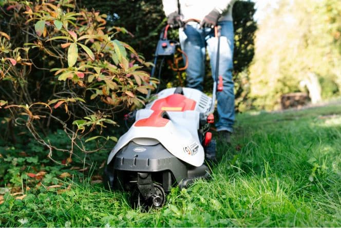 ELM2-36P ELECTRIC LAWNMOWER STERWINS - best price from Maltashopper.com BR500009795