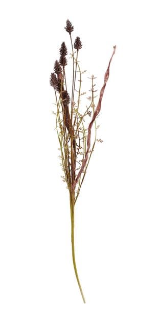 PLANTAGO HERBS BRANCH 3COL - best price from Maltashopper.com CS662522