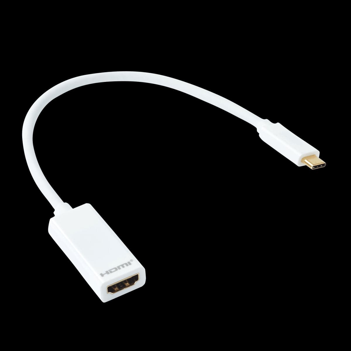 Bricocenter USB ADAPTER TYPE C/HDMI OUTPUT