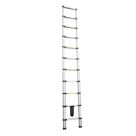 Bricocenter EXTENSIBLE LADDER 9 STEPS ANODISED ALUMINIUM