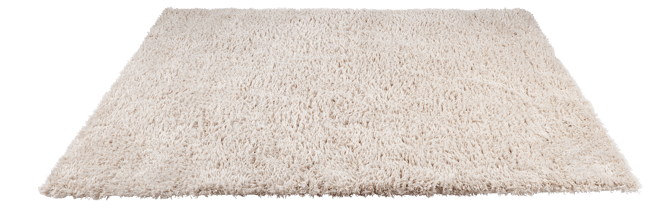 LARGE Antique White Carpet