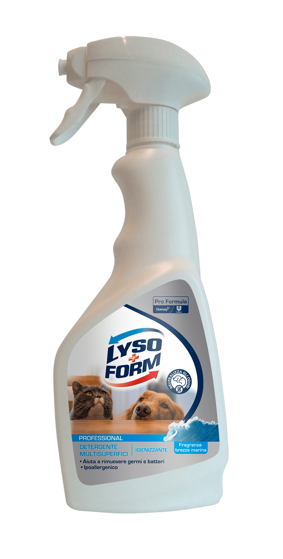 Bricocenter LYSOFORM PROFESSIONAL PET MULTI-SURFACE CLEANER 650 ML SEA BREEZE