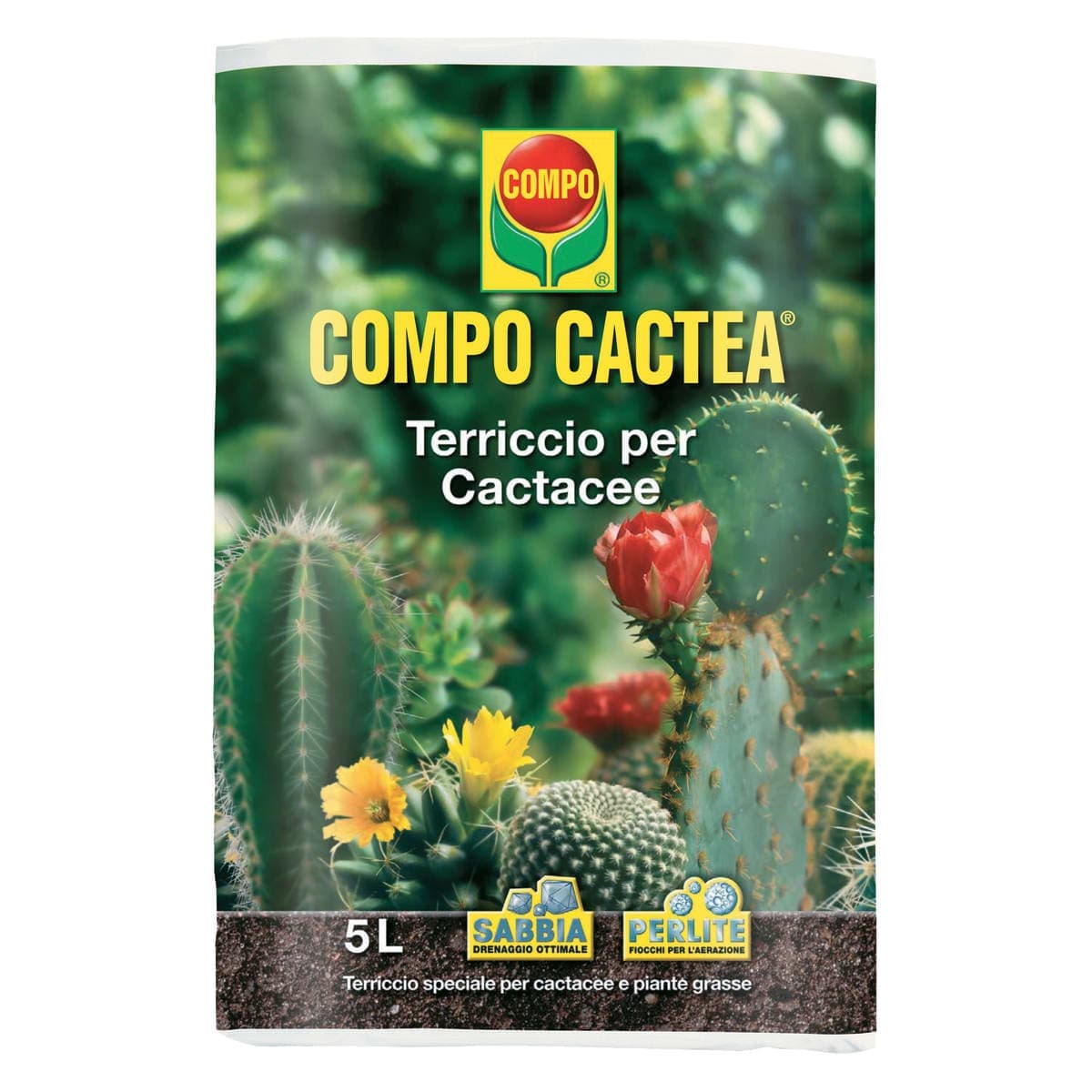 Bricocenter COMPO SOIL SANA 5LT FOR CACTI