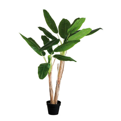 POTTED BANANA TREE FOR DECORATION H180 - best price from Maltashopper.com BR500011693