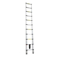 EXTENSIBLE LADDER 9 STEPS ANODISED ALUMINIUM - best price from Maltashopper.com BR450000446