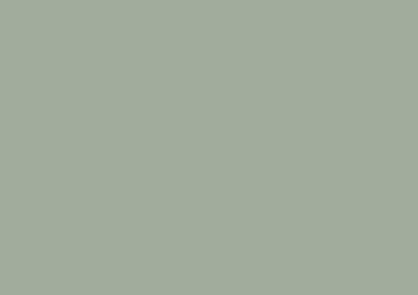 ADHESIVE PLASTIC SAGE GREEN MATT 45X200