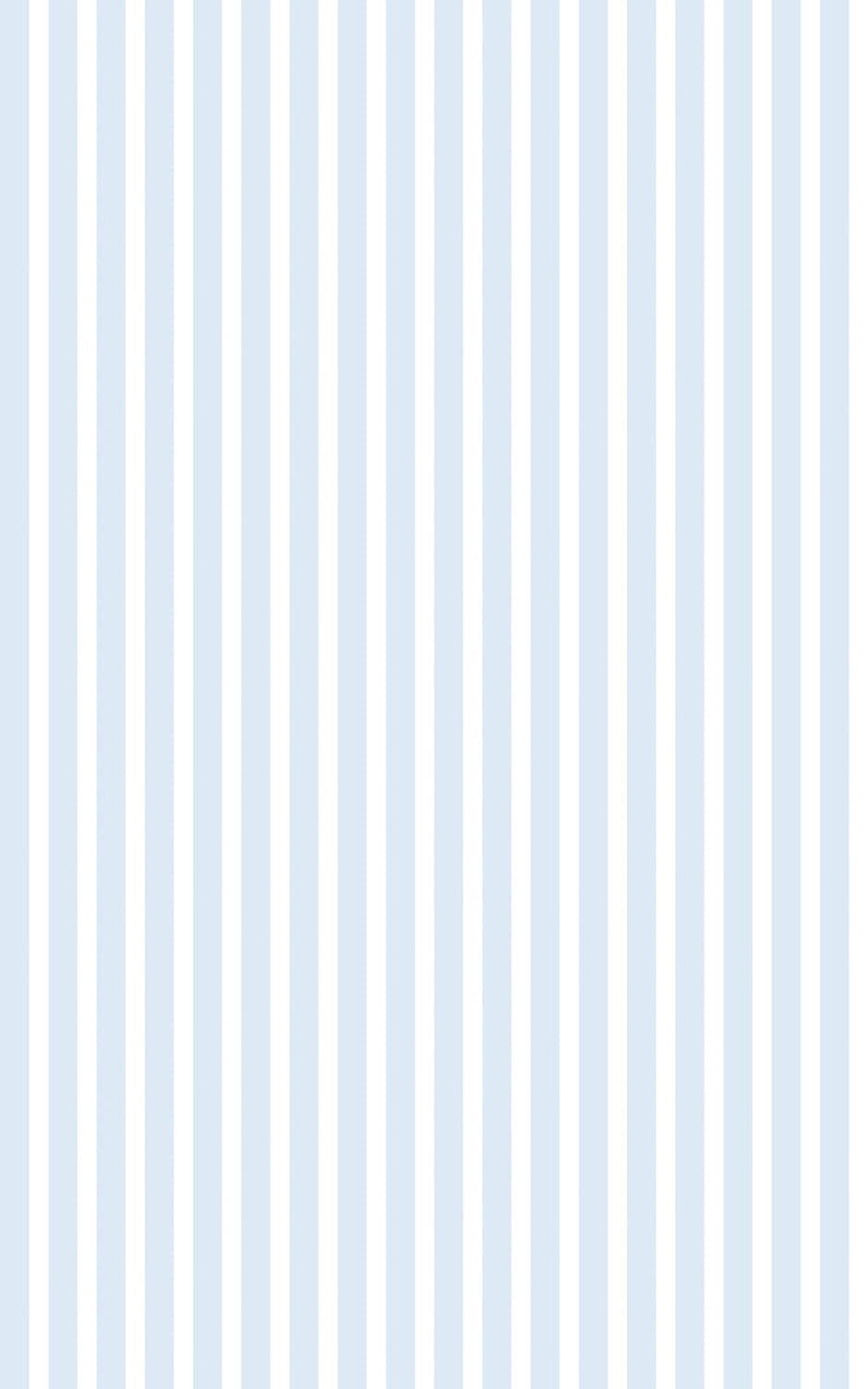 Bricocenter LINE STATIC DECAL 45X150