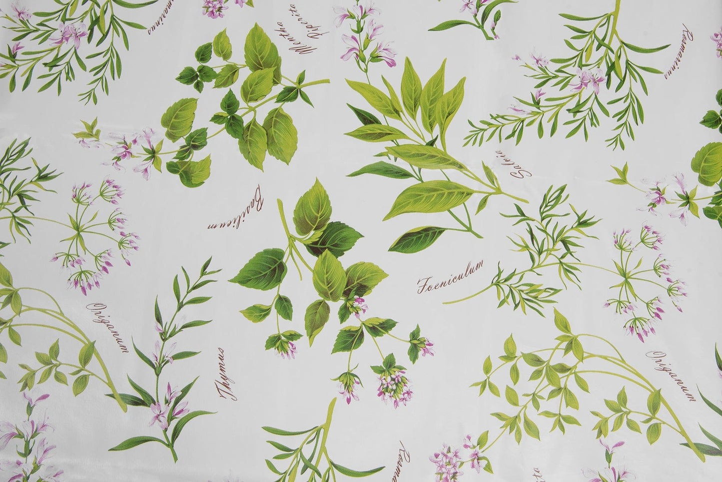 Bricocenter ERBOLARIO WAXED TABLECLOTH 140X180 CM