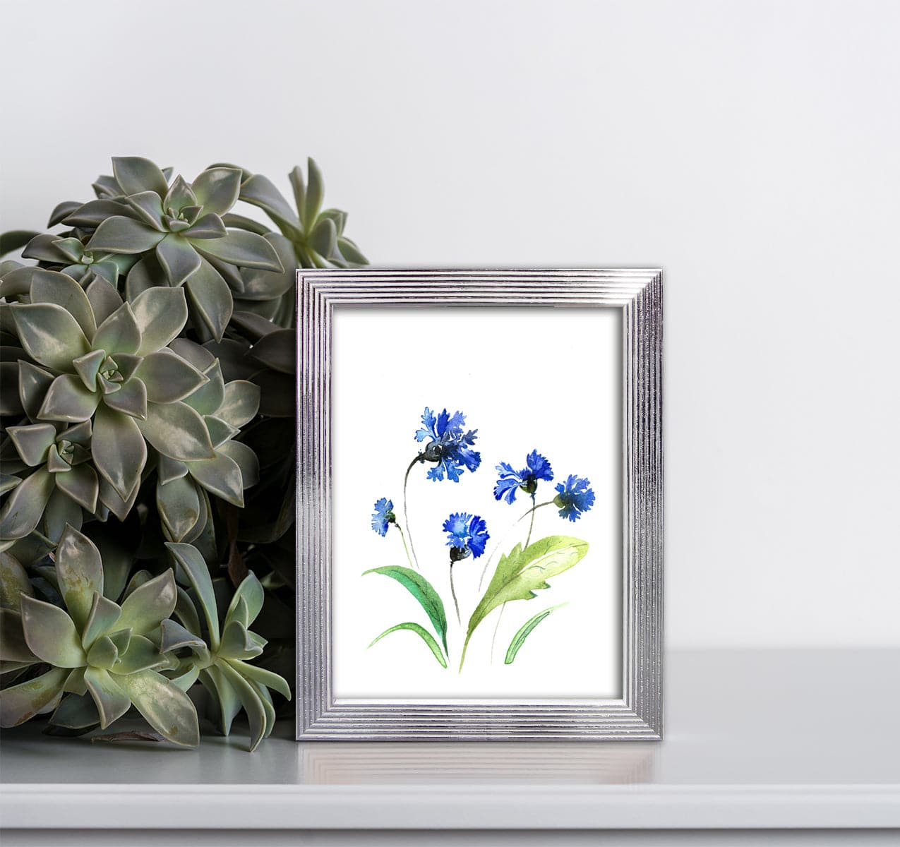 Bricocenter WHITE AND SILVER STRIPED FRAME 13X18 CM