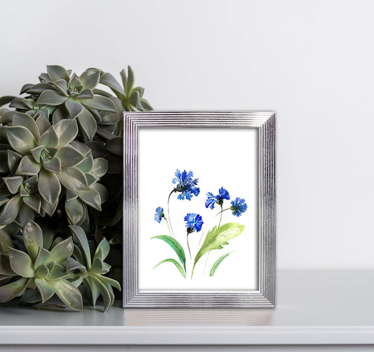 Bricocenter WHITE AND SILVER STRIPED FRAME 13X18 CM
