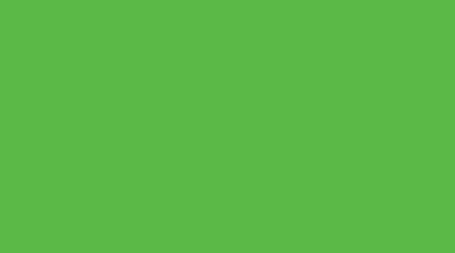 Bricocenter GLOSSY LIGHT GREEN ADHESIVE PLASTIC 45X200 CM