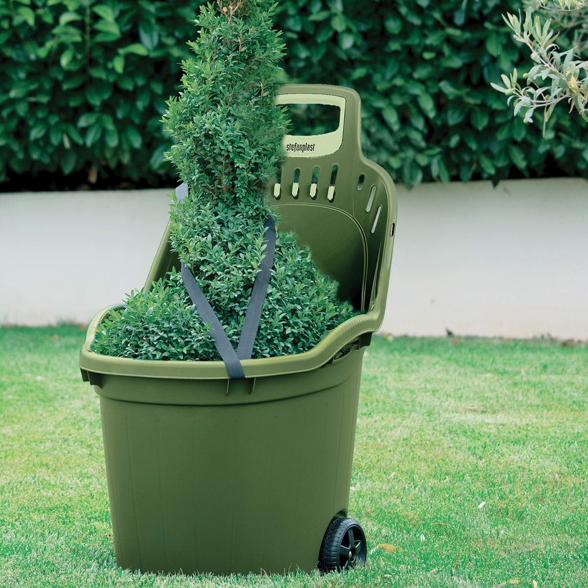 50L PLASTIC WHEELBARROW WITH HANDLE