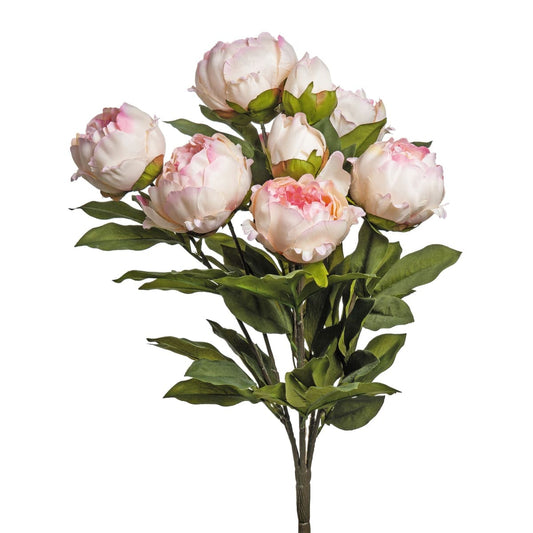 BUNDLE OF FLOWERS 6 - best price from Maltashopper.com BR510840805