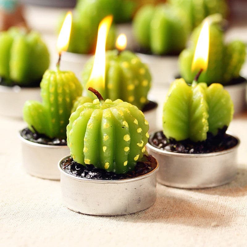 Set of 6 Succulent Cactus Tealights in Gift Box - best price from Maltashopper.com VCACTUS-10