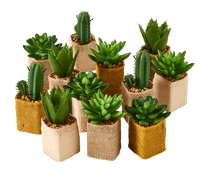 CACTUS aritificial potted succulents 4 models, light brown - best price from Maltashopper.com CS668829-LIGHT-BROWN