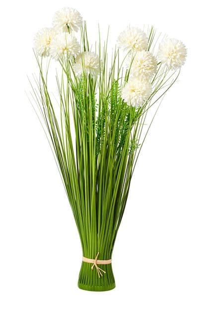 ALLIUM DECO ONION GRASS 3COL - best price from Maltashopper.com CS670572