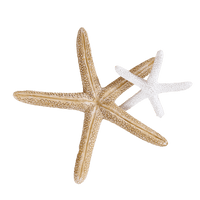SEA Starfish sand - best price from Maltashopper.com CS663551-SAND