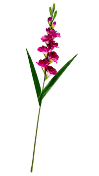 GLADIUS Gladiolus, 93cm, violet - best price from Maltashopper.com CS670397-PURPLE