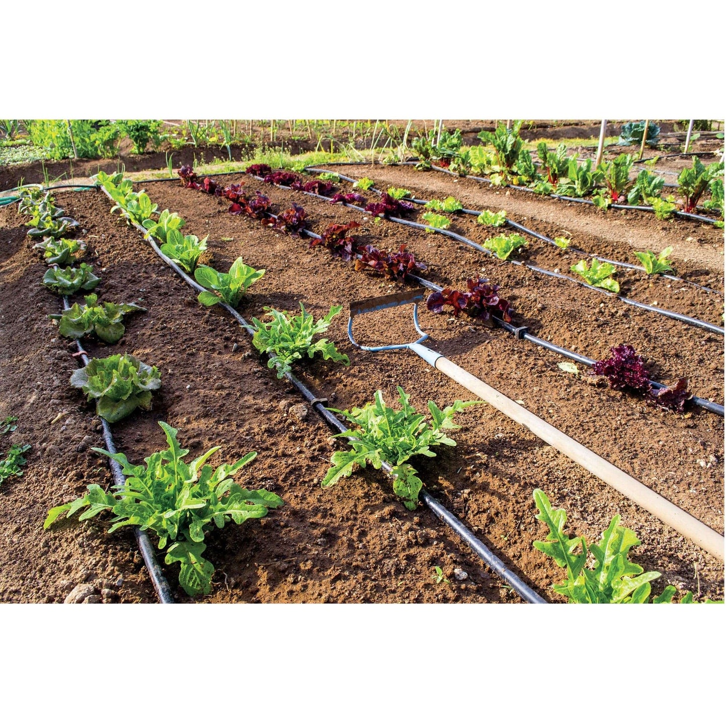 Bricocenter DRIP IRRIGATION KIT - VEGETABLE GARDEN 25 M2