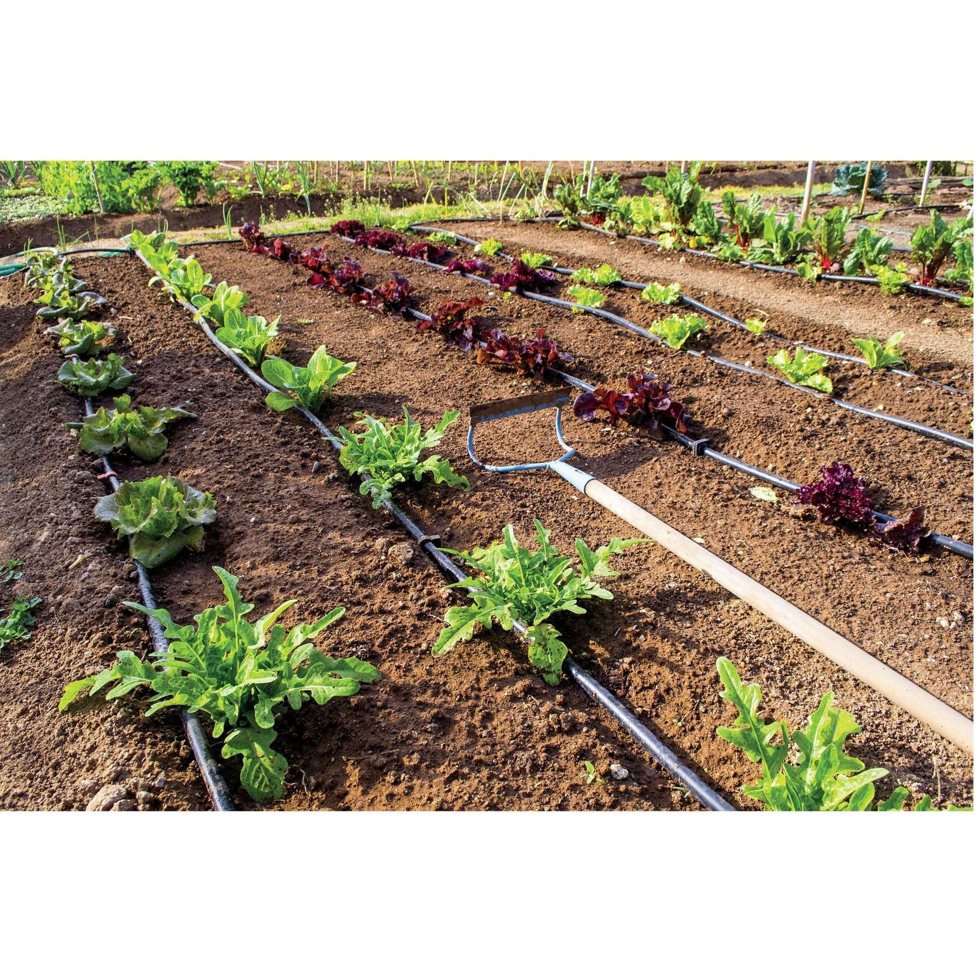 Bricocenter DRIP IRRIGATION KIT - VEGETABLE GARDEN 25 M2