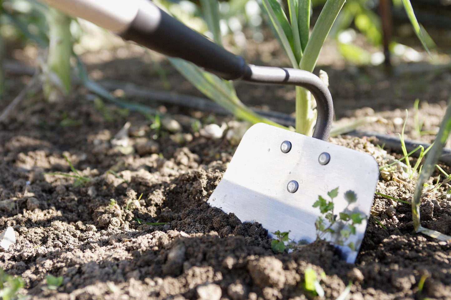 GEOLIA WEEDER WITH METAL BLADE BEECH WOOD HANDLE PEFC 130 CM