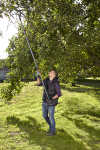 GARDENA EXTENDABLE HEDGE TRIMMER UP TO 6.5M - best price from Maltashopper.com BR500009802