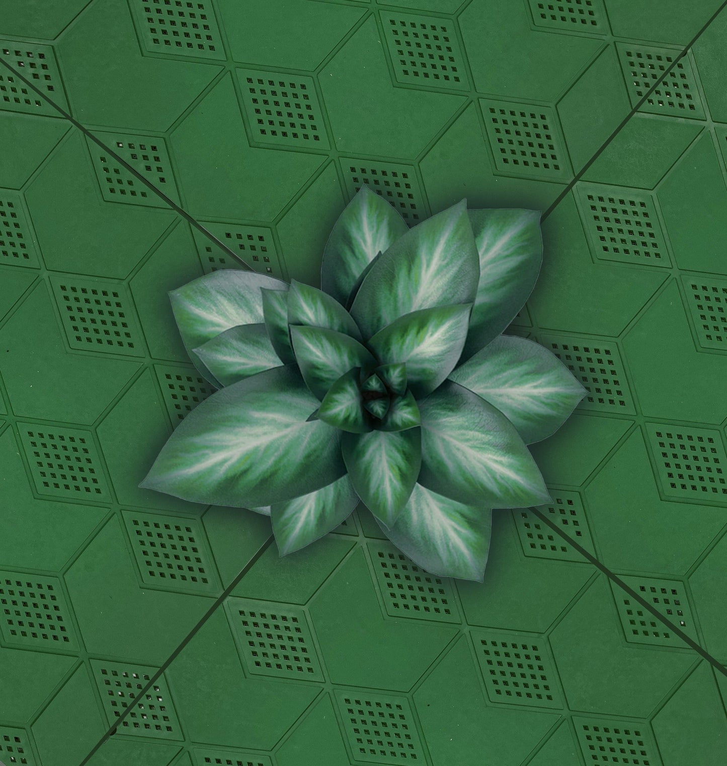 Bricocenter SNAP DESIGN TILE 40X40x2.5 GREEN
