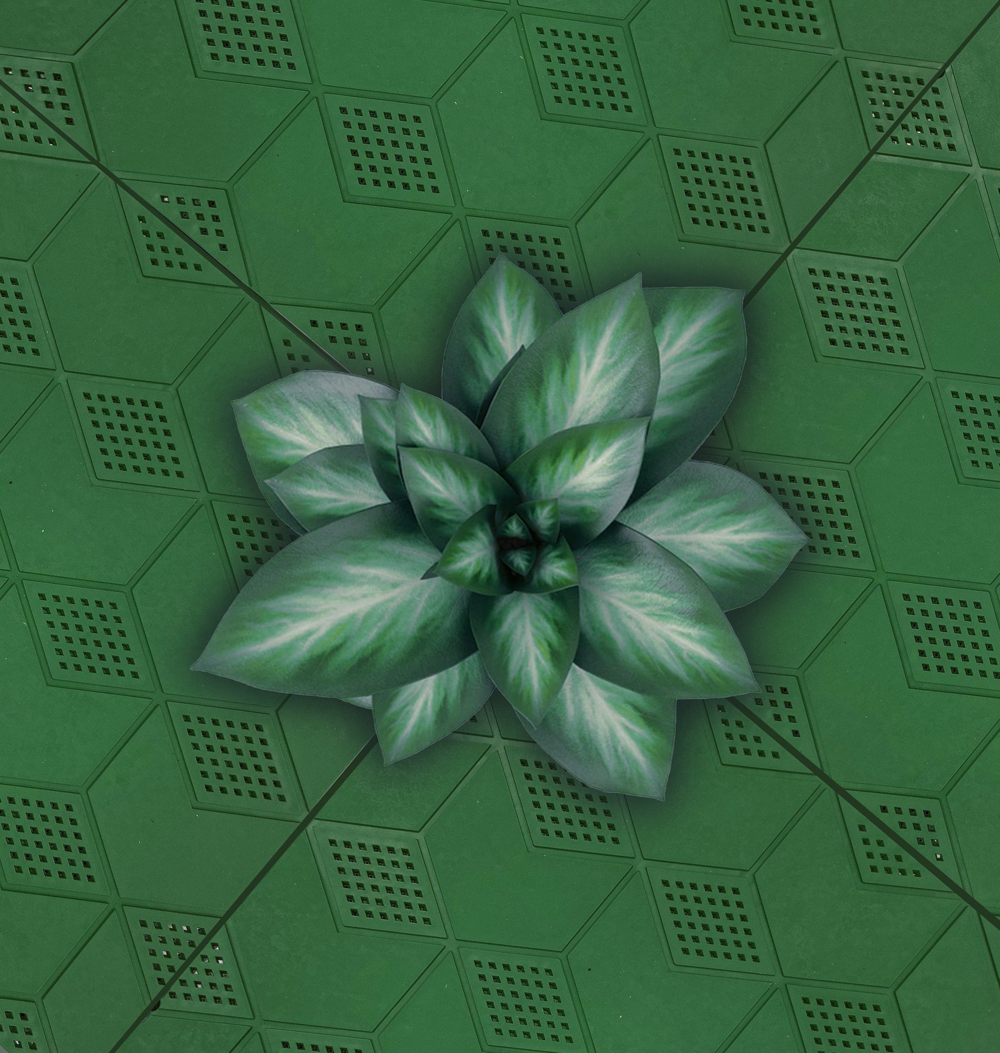 Bricocenter SNAP DESIGN TILE 40X40x2.5 GREEN
