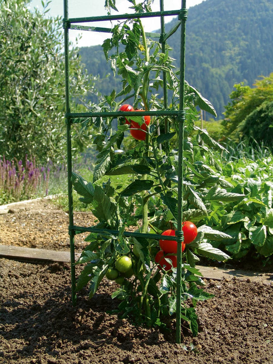 Bricocenter SUPPORT FOR PLANTS IN KIT (DISPLAY 24 PCS.)
