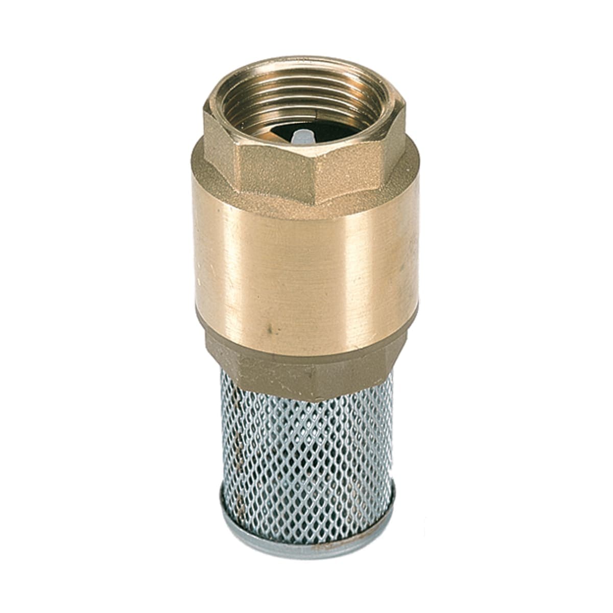 Bricocenter BRASS FOOT VALVE 1 C621671