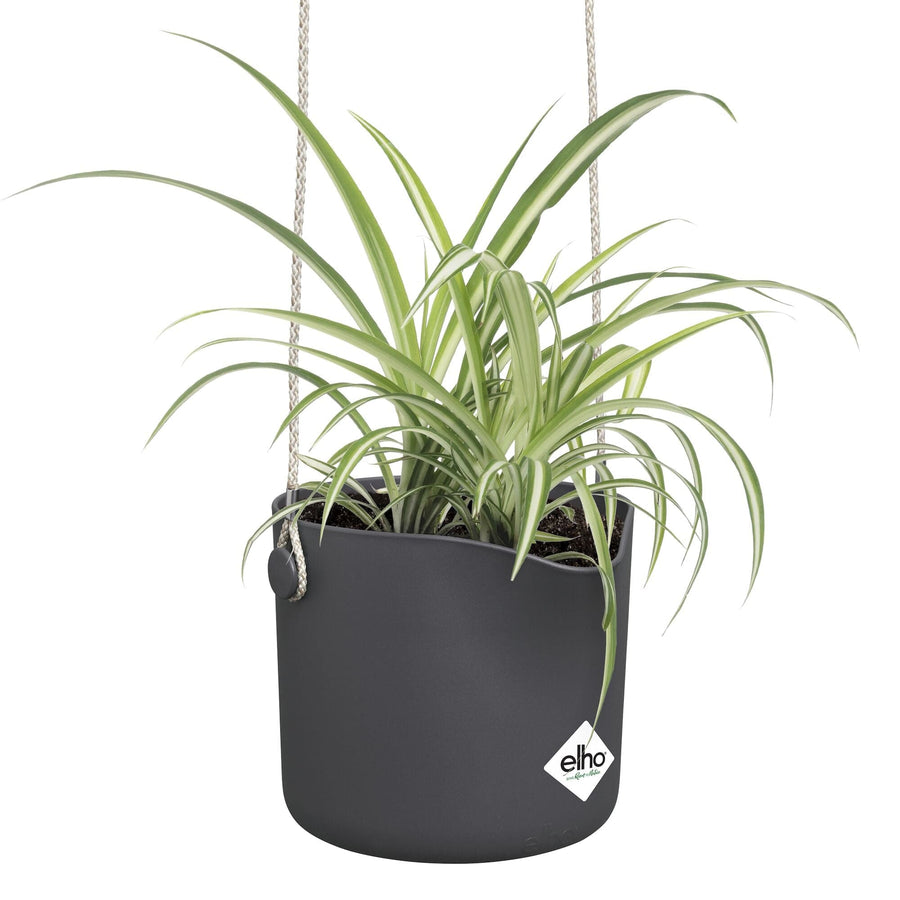 B.FOR SWING POT COVER DIAM 18 H16,5 CM ANTHRACITE