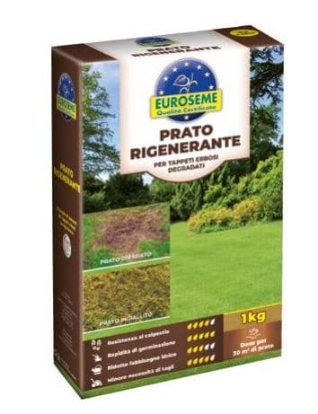 Bricocenter EUROSEME REGENERATING LAWN KG 1