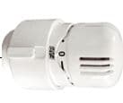 Bricocenter THERMOSTATIC HEAD FAR ART 1824