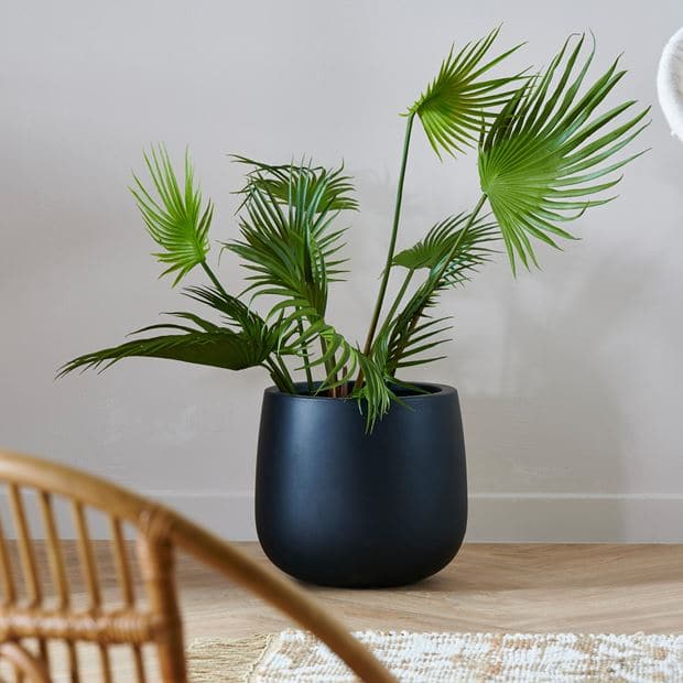 ARECA Green palm H 79 cm - Ø 46 cm - best price from Maltashopper.com CS660975