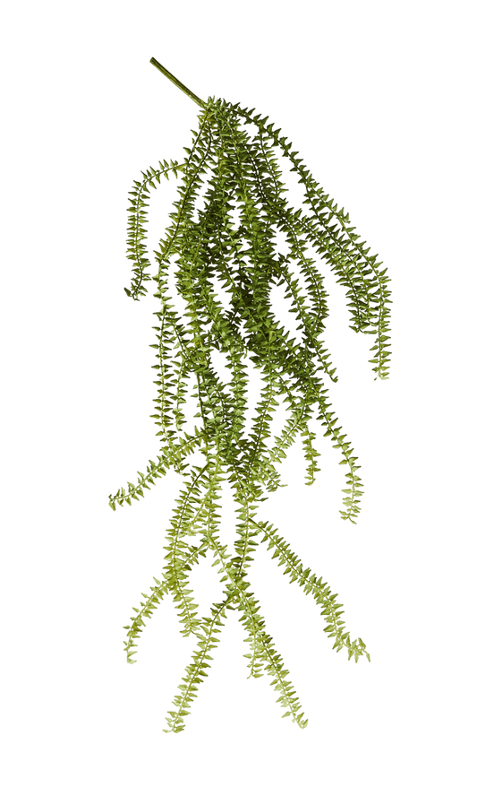 FERN Green fern branch - best price from Maltashopper.com CS678748