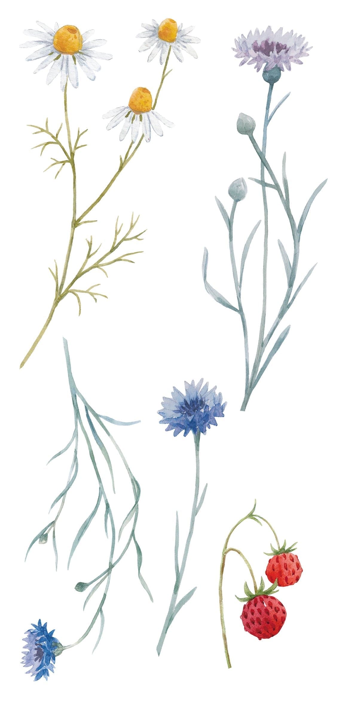 Bricocenter FIELD FLOWERS STICKER 15.5X34