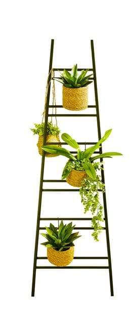 METAL Black ladder H 150 cm - best price from Maltashopper.com CS649061