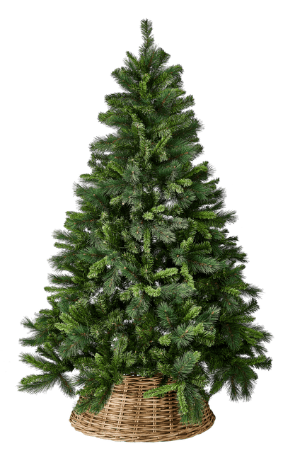ROYAL Green Christmas tree H 210 cm - Ø 138 cm - best price from Maltashopper.com CS613368