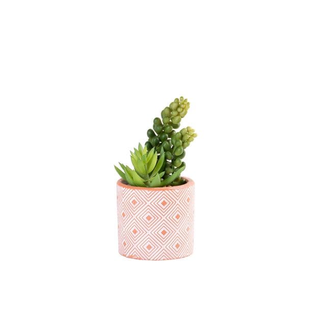 TERRACOTTA artificial succulent, 2 shape variants - best price from Maltashopper.com CS649362