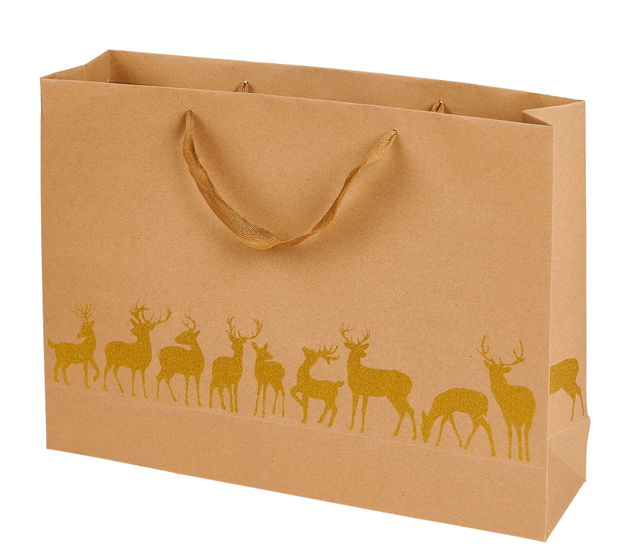 Casa XMAS KRAFT GIFT BAG 45X33 3MOT