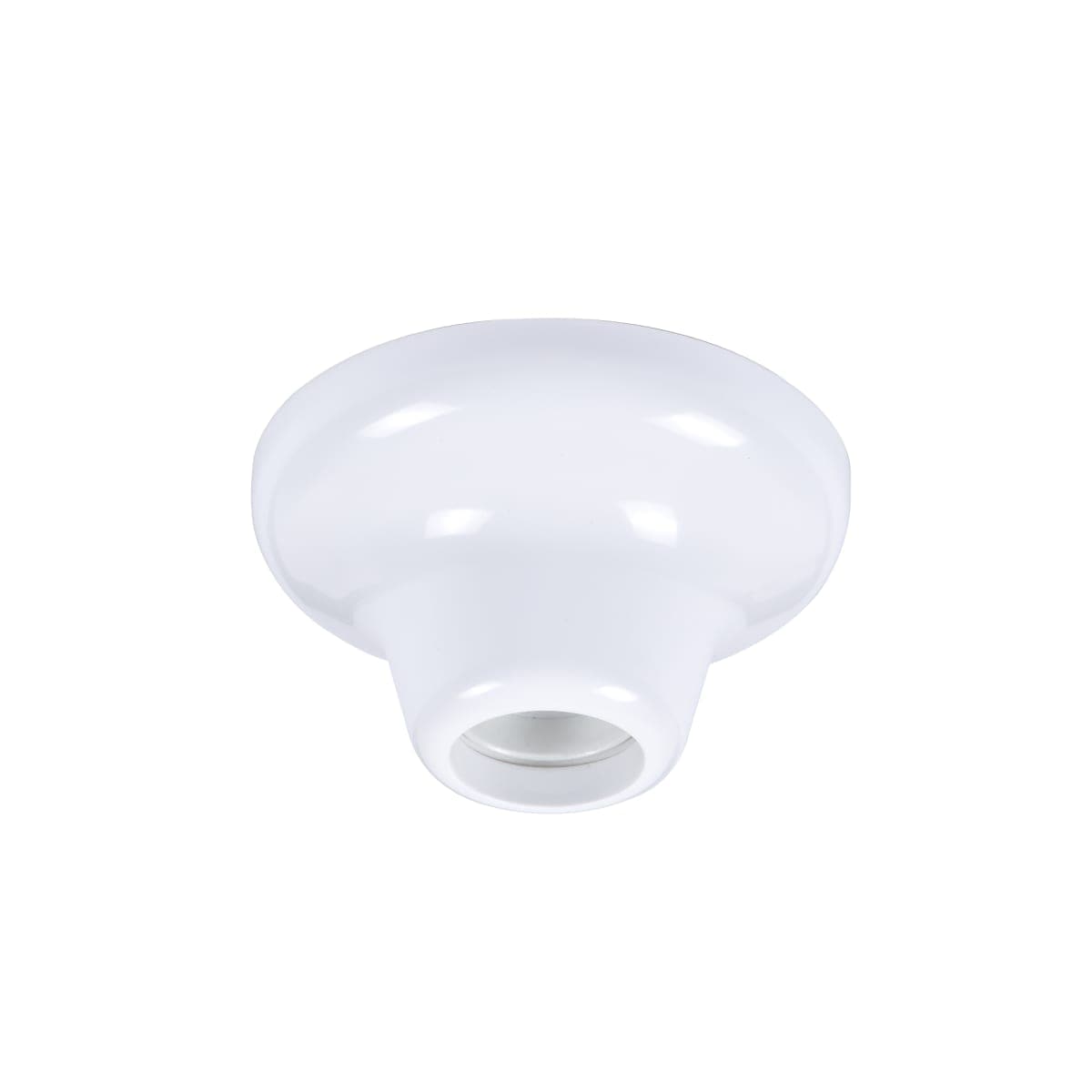 Bricocenter GOTEO CEILING LIGHT PLASTIC WHITE D12 E27=40W
