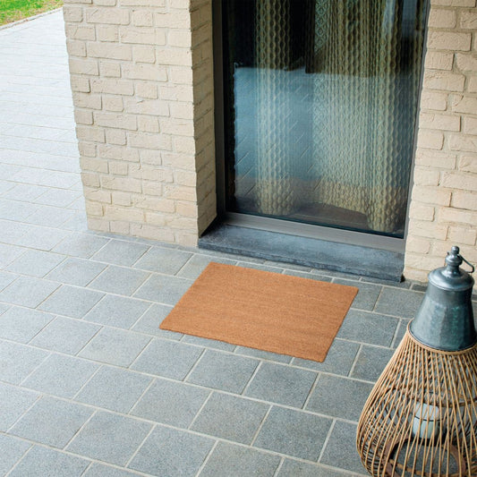 DOORMAT LEO COCCO NATURAL 33X55 CM - best price from Maltashopper.com BR480008535