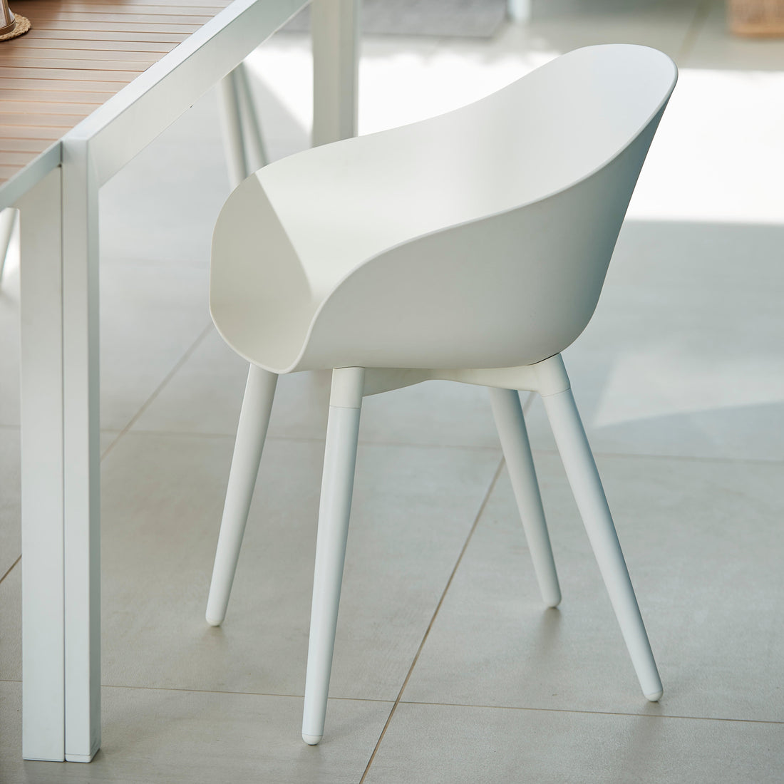 FRAY Dining chairs white - best price from Maltashopper.com CS0306-B