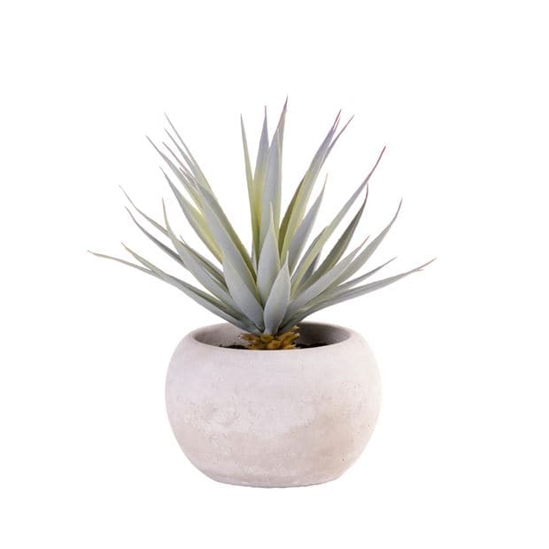 CEMENT Faux succulent in gray pot H 18.5 cm - Ø 18 cm