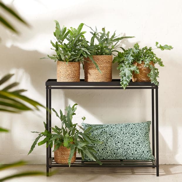 PLANTS Black plant shelf H 60 x L 75 x D 23 cm - best price from Maltashopper.com CS653569