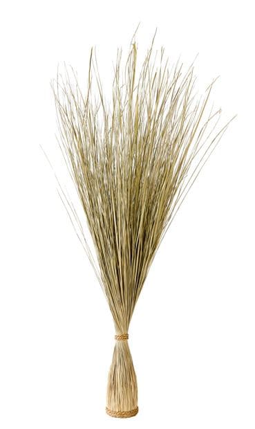 COGON Bunch of natural grass H 106 cm - Ø 10 cm - best price from Maltashopper.com CS672882