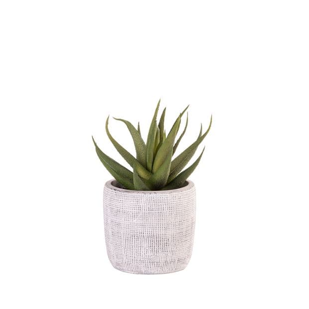 CEMENT Gray artificial plant H 16 cm - Ø 12 cm - best price from Maltashopper.com CS649236