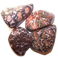 L Tumble Stone - Leopard Skin Jasper L - best price from Maltashopper.com TBM-08