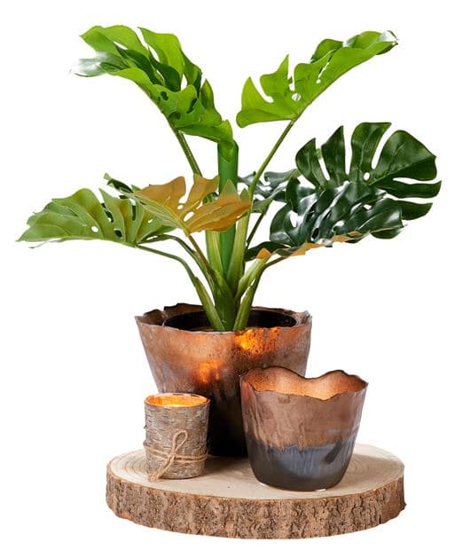 PAULO Natural plateØ 26 cm - best price from Maltashopper.com CS564445